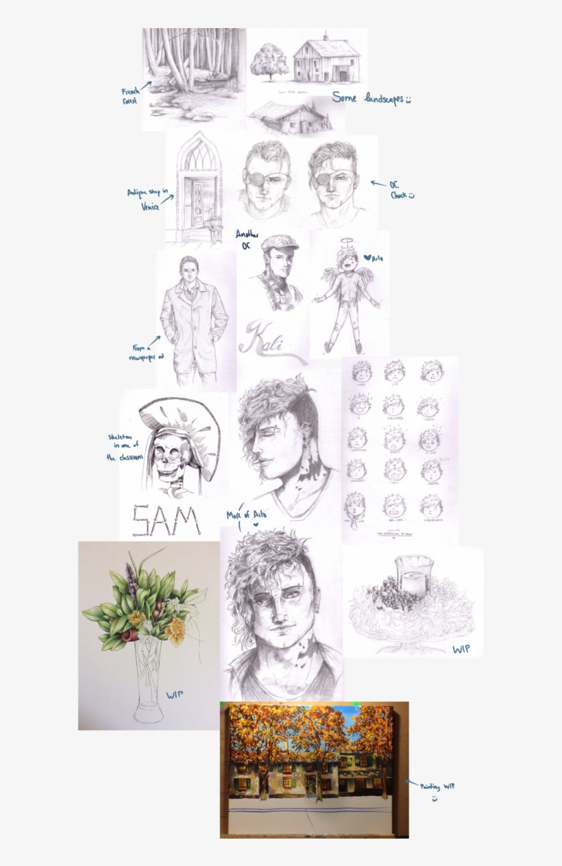 Graphic Free Library Sketchdump By Shrew - Drawing, transparent png download