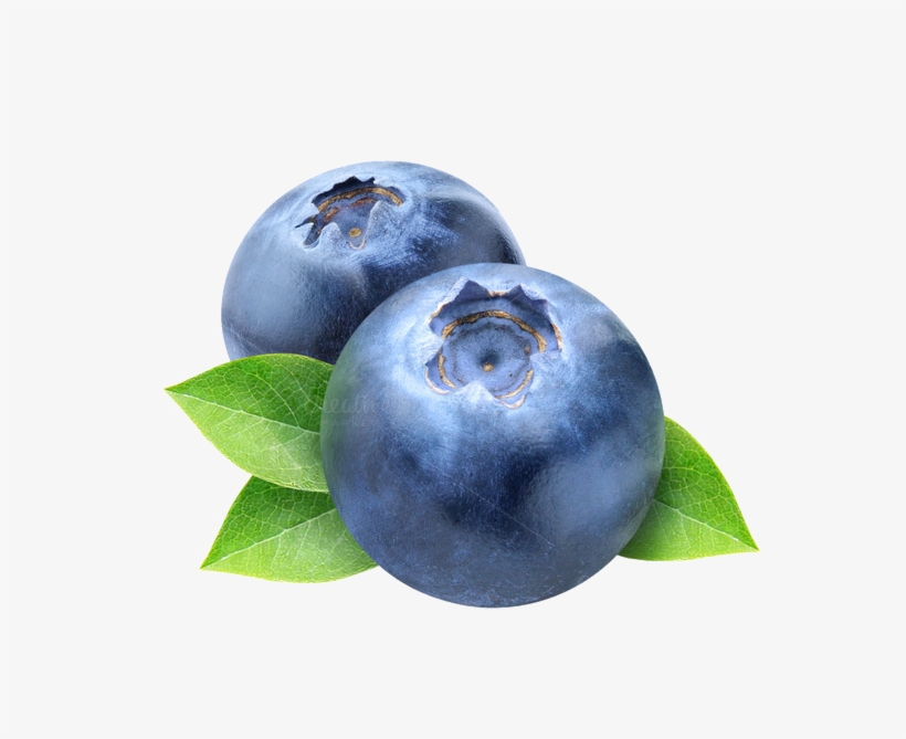 Blueberry Png Photos - Blueberry Png, transparent png download