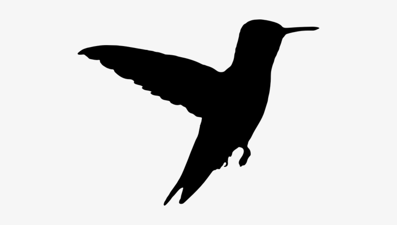 8404 Flying Bird Silhouette Clip Art Free Public Domain - Hummingbird Silhouette Clipart, transparent png download