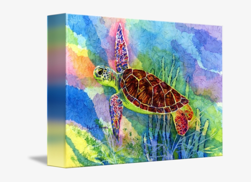 "sea Turtle" By Hailey E - Sea Turtle, transparent png download