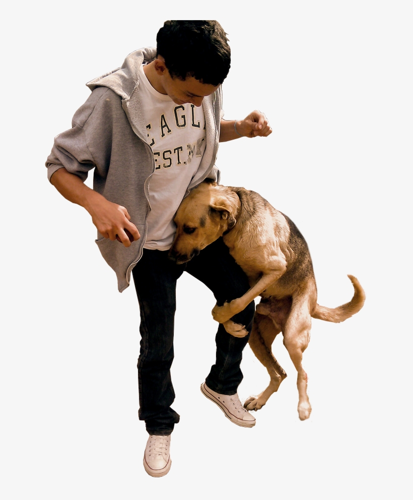 Dog Humping Dog - Dogs Humping Png, transparent png download