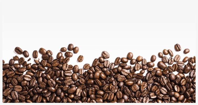 Food - Coffee - Coffee Bean Png Transparent, transparent png download