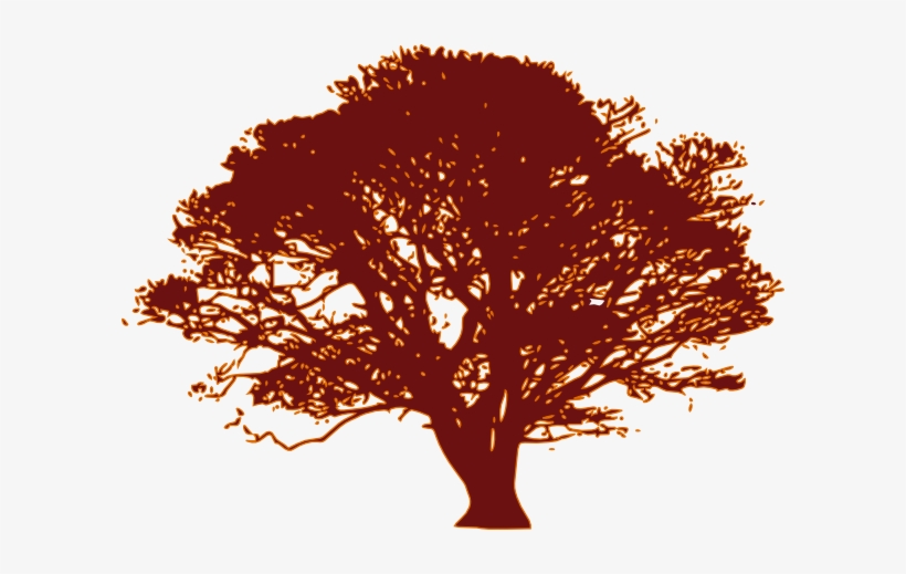 Olive Tree Black And White, transparent png download