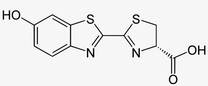 2 Methyl Benzimidazole, transparent png download