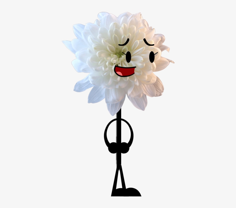 Chrysanthemum Pose - White Chrysanthemum Transparent, transparent png download
