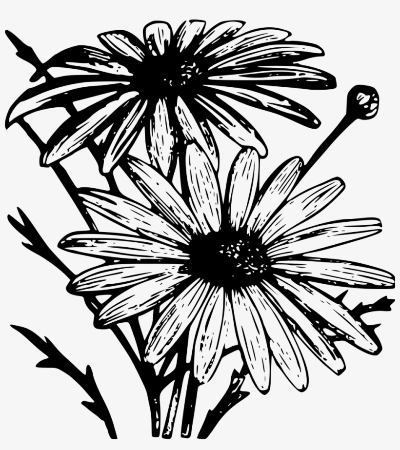 Drawing From The Dawn - Wikimedia Commons, transparent png download