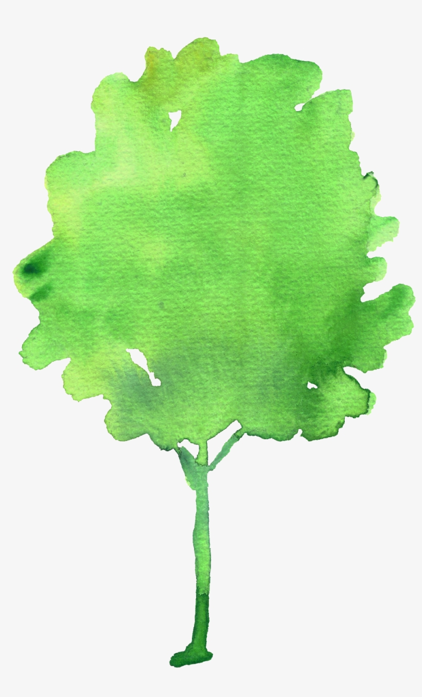 Fresh Hand Painted Big Tree Decoration Vector - Tree, transparent png download