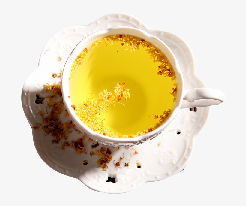 Download Transparent Tea Chrysanthemum Graphic Free Library - Devilwood ...