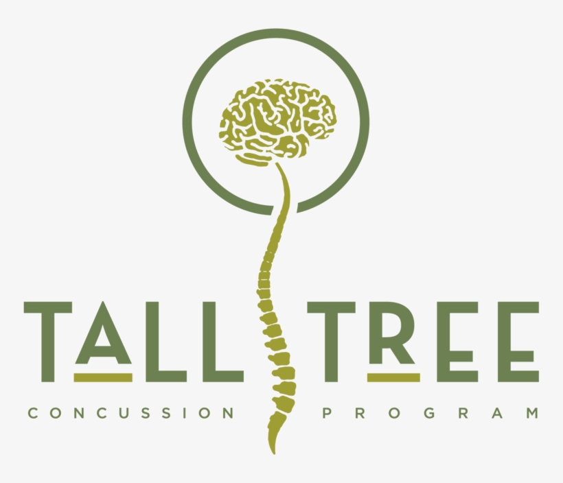 Concussion Program Logo - Logo Tree Spine, transparent png download