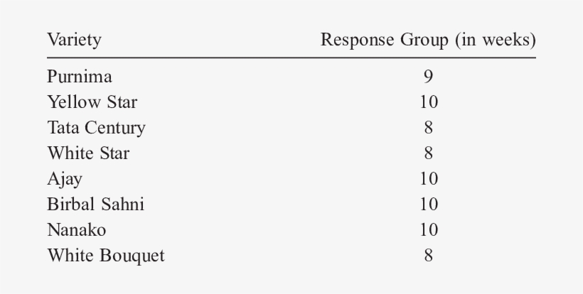 Categorization Of The Different Chrysanthemum Varieties - Copper Slag, transparent png download
