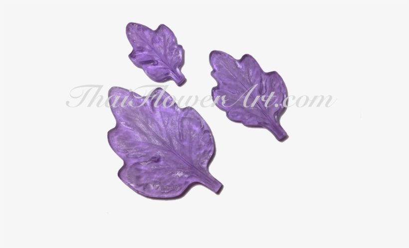 Sally Beauty Supply, transparent png download