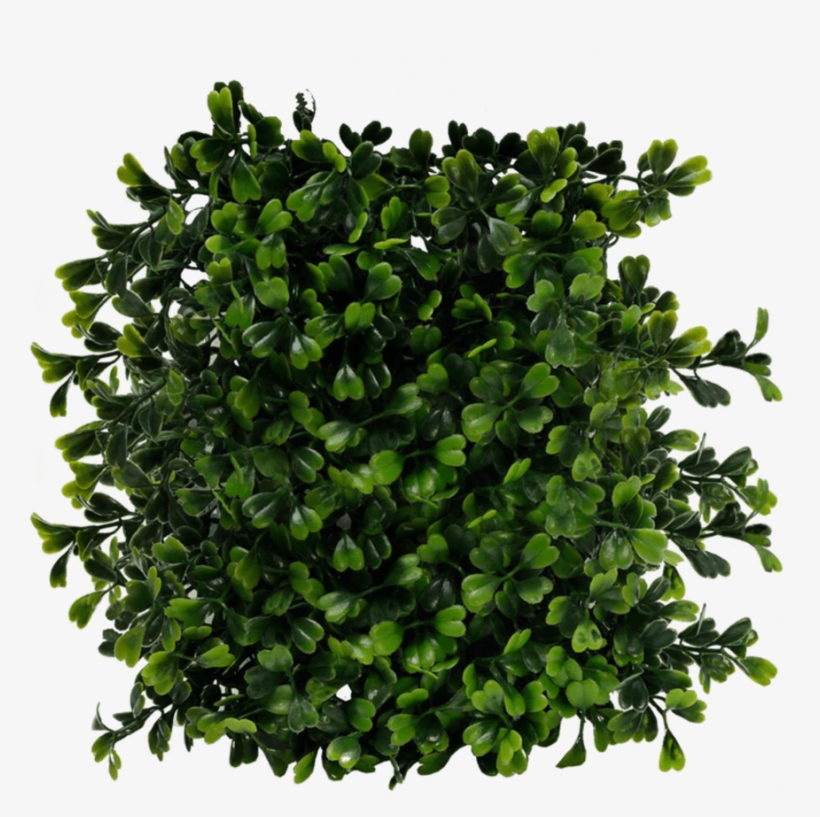 Bushes Png Images Free Download, Bush Png - Bush Top View Png, transparent png download