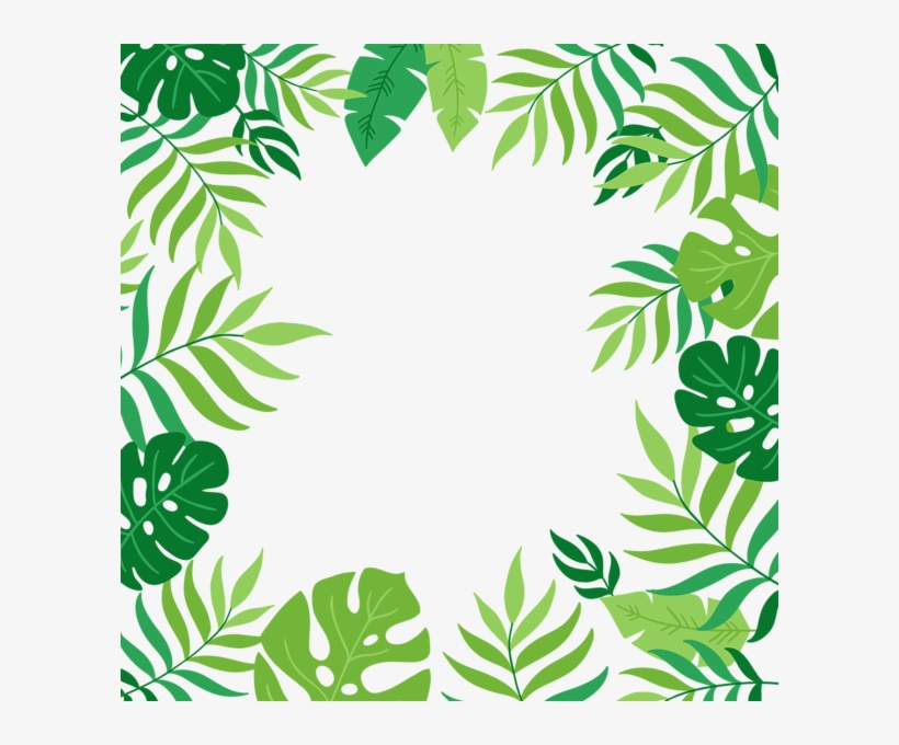 0, - Frame Exotic Png, transparent png download