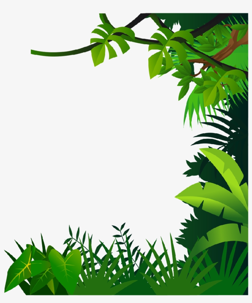 Vegetation Drawing Jungle Plant - Jungle Frame Clipart, transparent png download