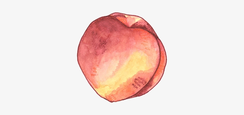 Nectarine - Peach, transparent png download