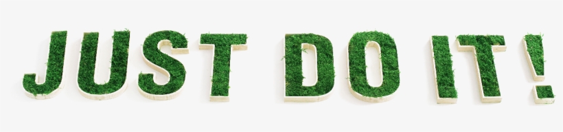 Previousnext - Plants, transparent png download