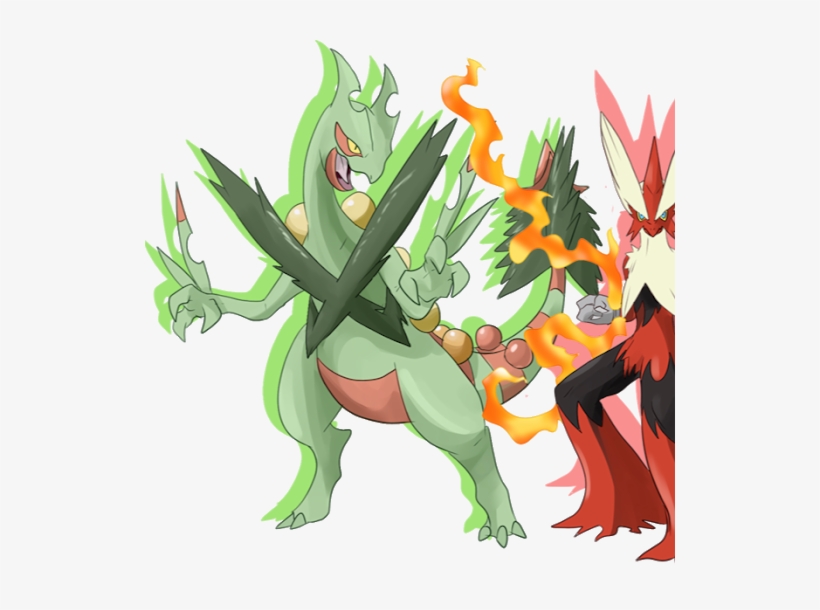 Photo - Mega Swampert Mega Blaziken, transparent png download