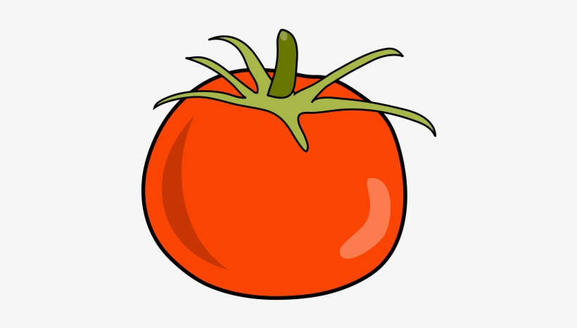Tomato Illustration Vector And Png - Tomato Illustration Vector, transparent png download