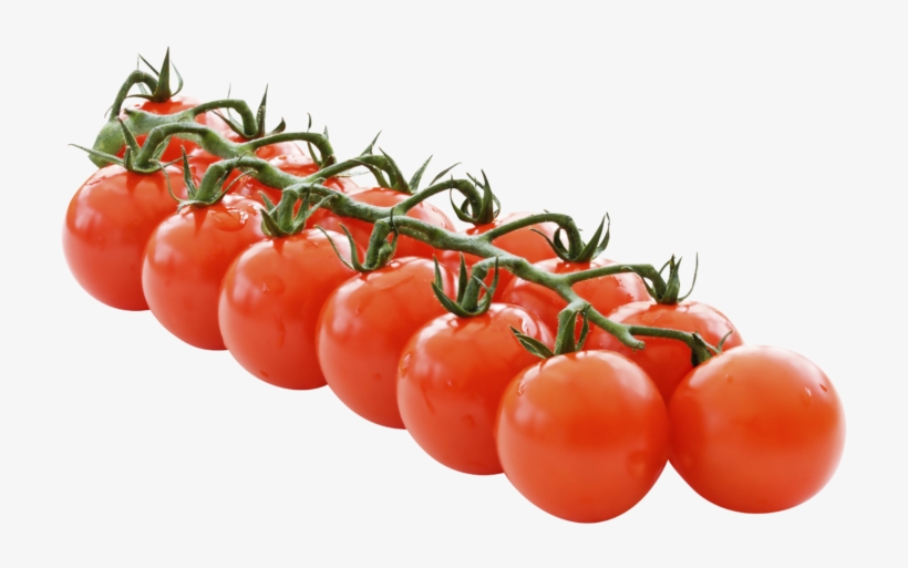 Storage Temperatures - Tomato, transparent png download