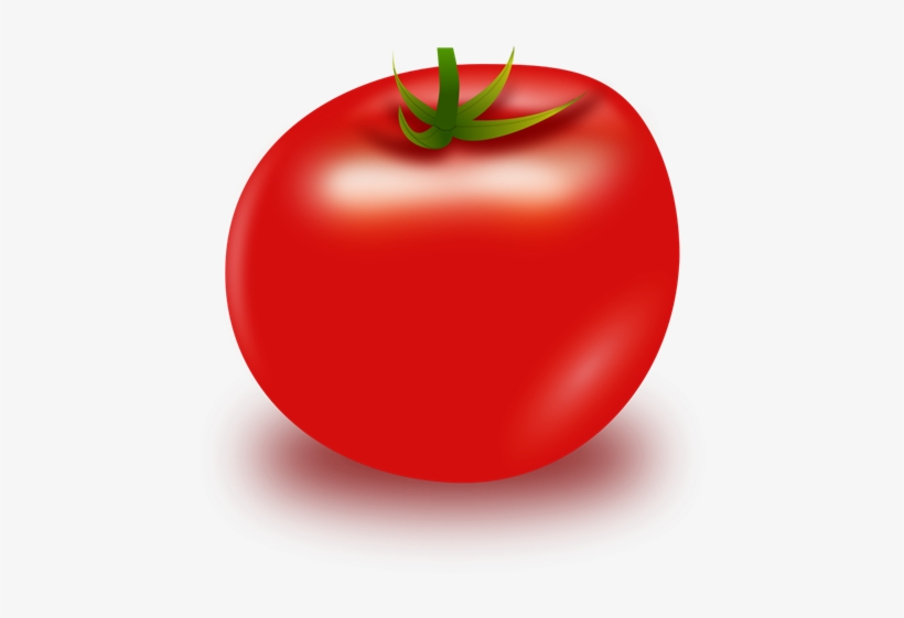Tomato Clipart Black And White - Clipart Tomato, transparent png download