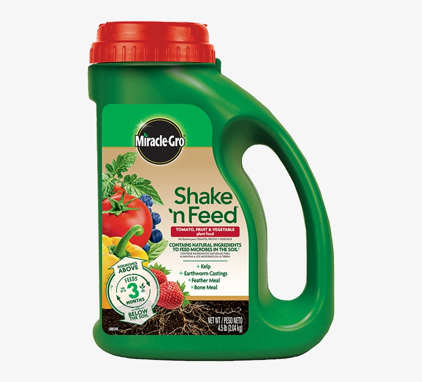Tomato Fruit Vegetable Plant Food - Miracle Gro Shake And Feed Tomato, transparent png download