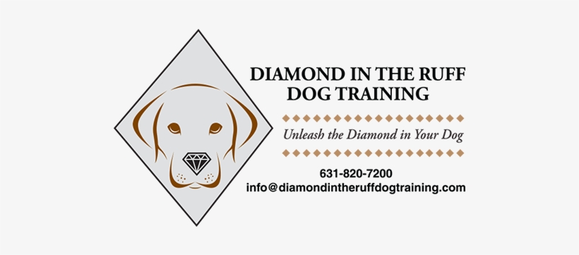 Logo - Sma Negeri 2 Pangkalan Bun, transparent png download