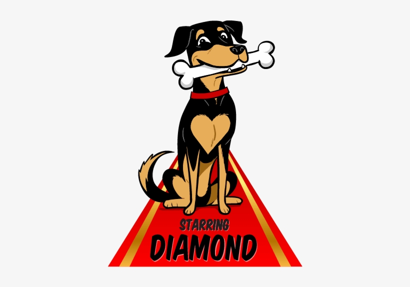 Meet Diamond, Your Friendly Host And Trainer He's A - Dog, transparent png download