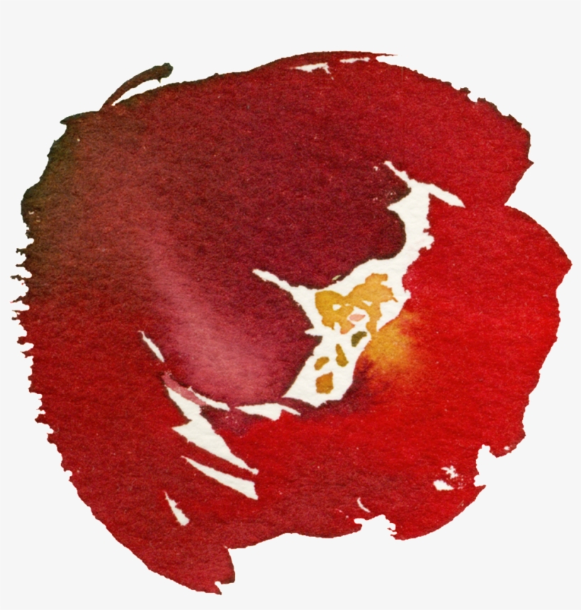 Hand-painted Pomegranate Flower Png Transparent Material - Flower, transparent png download