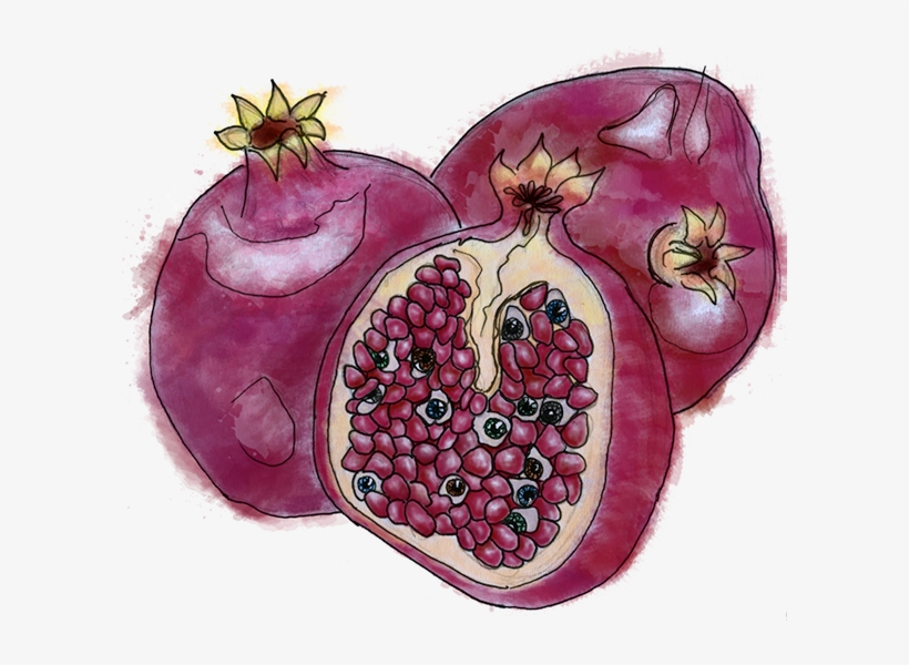 Thank You - Pomegranate, transparent png download