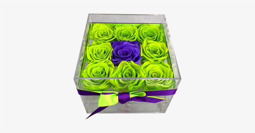 Garden Roses, transparent png download