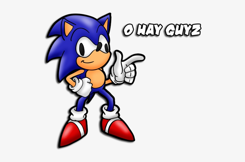Sonic The Hedgehog - Down Syndrome The Hedgehog, transparent png download