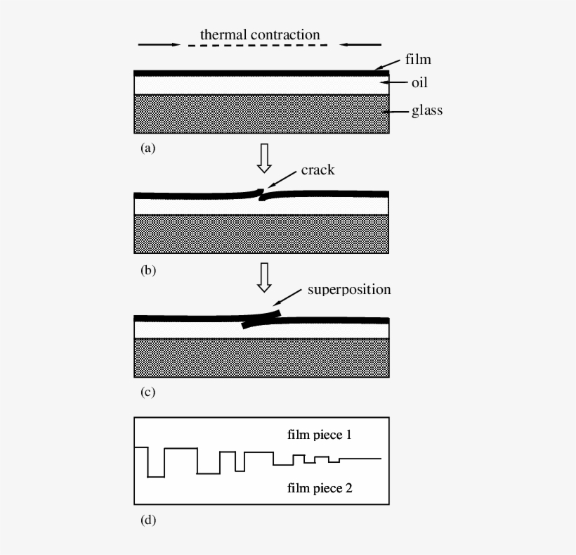 Schematic Drawing Of Formation Process Of The Sandwiched - Drawing, transparent png download