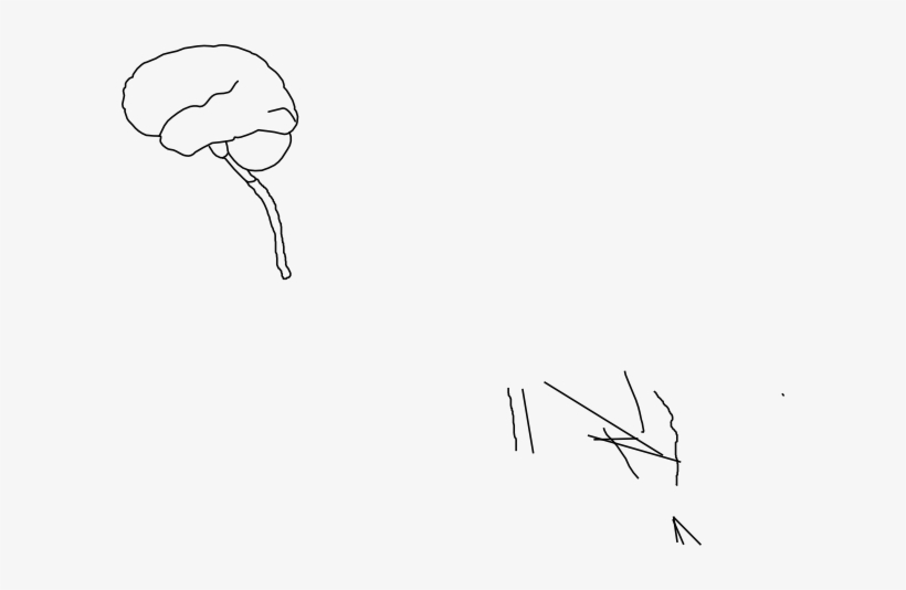 Brain And Spinal Cord Cartoon, transparent png download