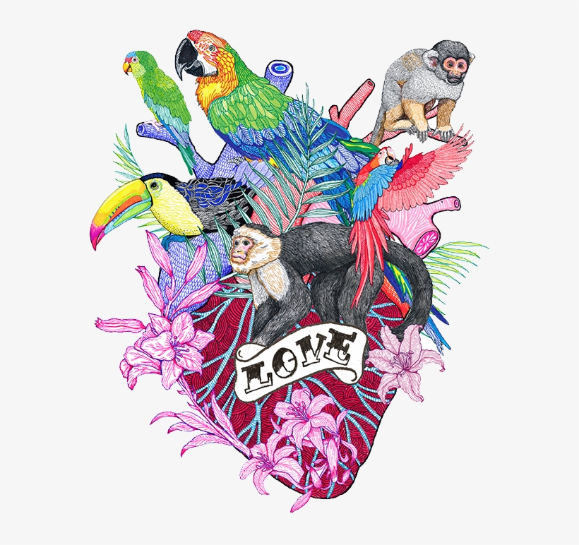 Javier Navarro Romera - El Dios De Los Tres, transparent png download