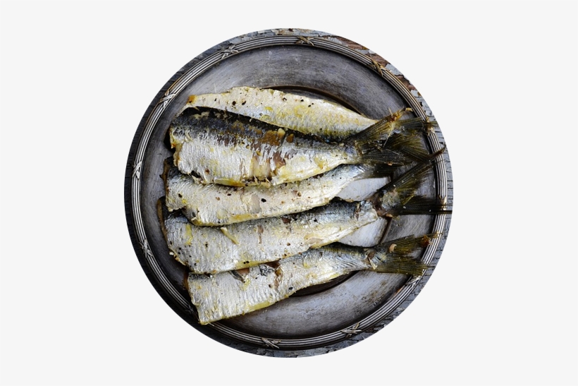 White Fish Meal - 100 Grams Sardine, transparent png download