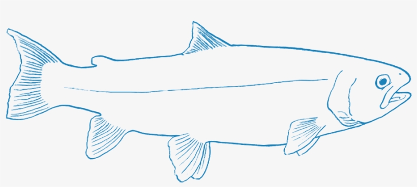 As An Industry It Relies Heavily On Wild-caught Fish - Coloring Book, transparent png download