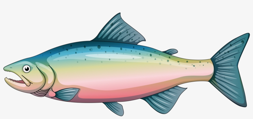 Яндекс - Фотки - Rainbow Trout Cartoon, transparent png download