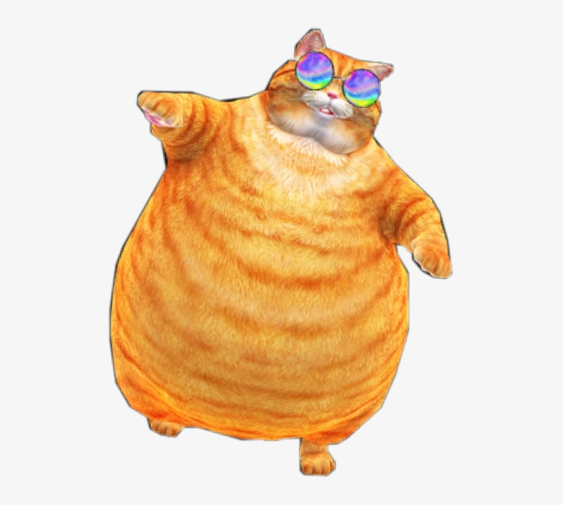 Report Abuse - Orange Tabby Cat Fat, transparent png download