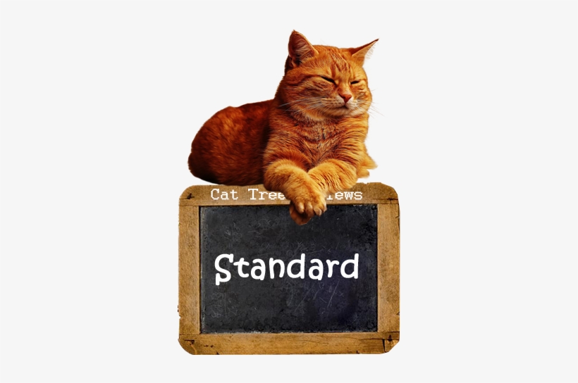 Orange Cat Sitting On Top Of Cat Trees Reviews Button - Ginger Cat Png, transparent png download