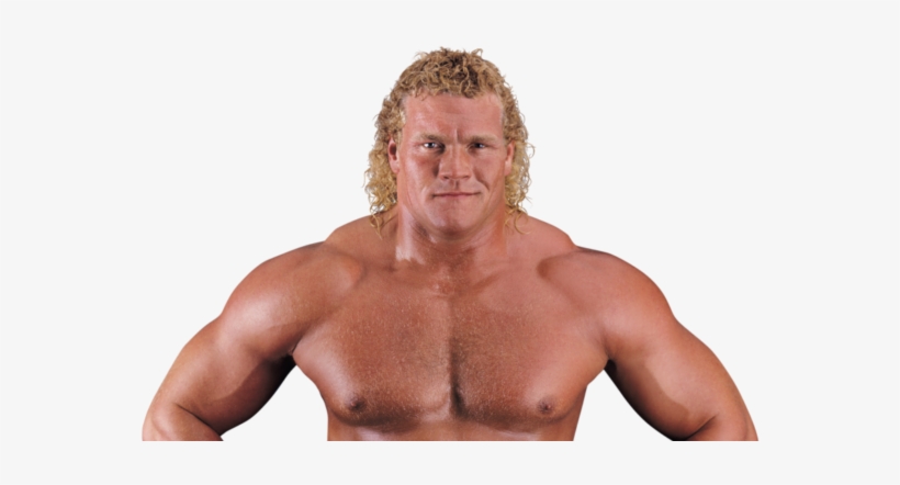 Sex Tape Leak - Sid Vicious Wwe, transparent png download