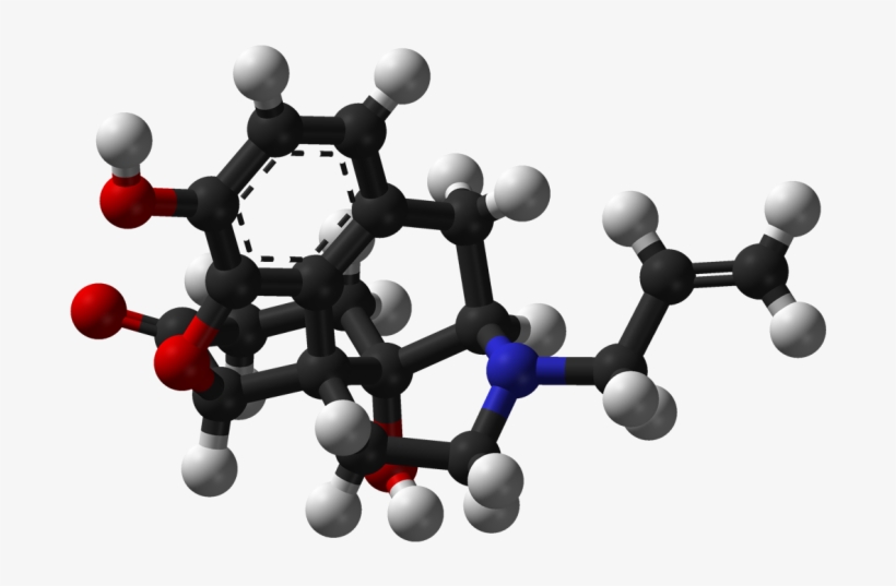 Can You Take Phenergan And Prednisone At The Same Time Naloxone