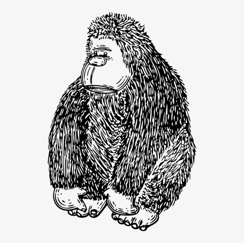 Porcupine Clipart Simple - Gorilla Clip Art, transparent png download