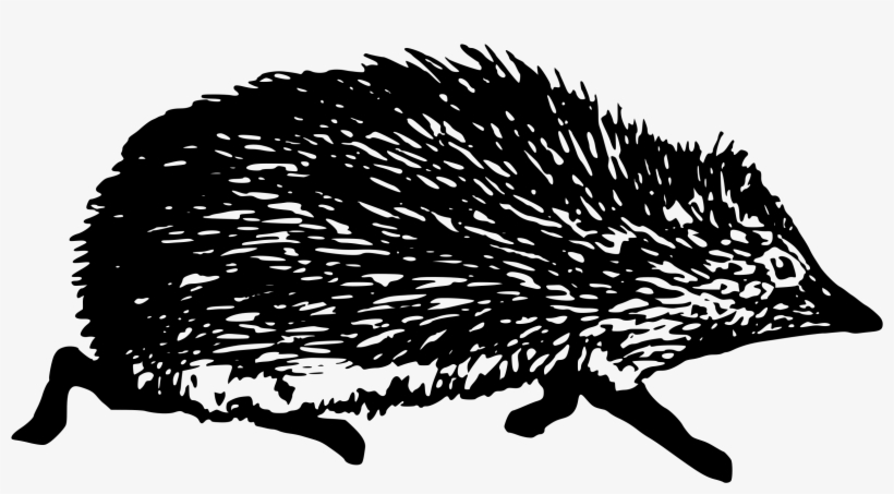 Svg Freeuse Download Hedgehog Vector Porcupine - Hug A Porcupine, transparent png download