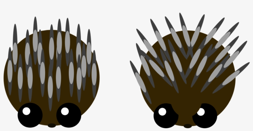 Artisticporcupine - Portable Network Graphics, transparent png download