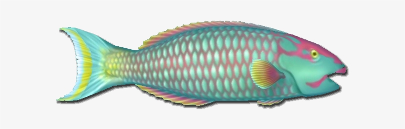 Fish 6 - Okra Peji, transparent png download