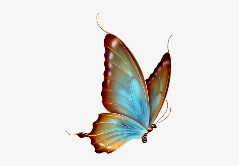 Яндекс - Фотки - Transparent Background Butterfly Png, transparent png download