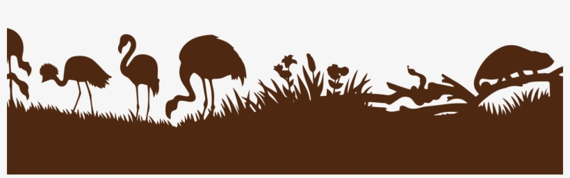 Brown Bird Background - Bird, transparent png download