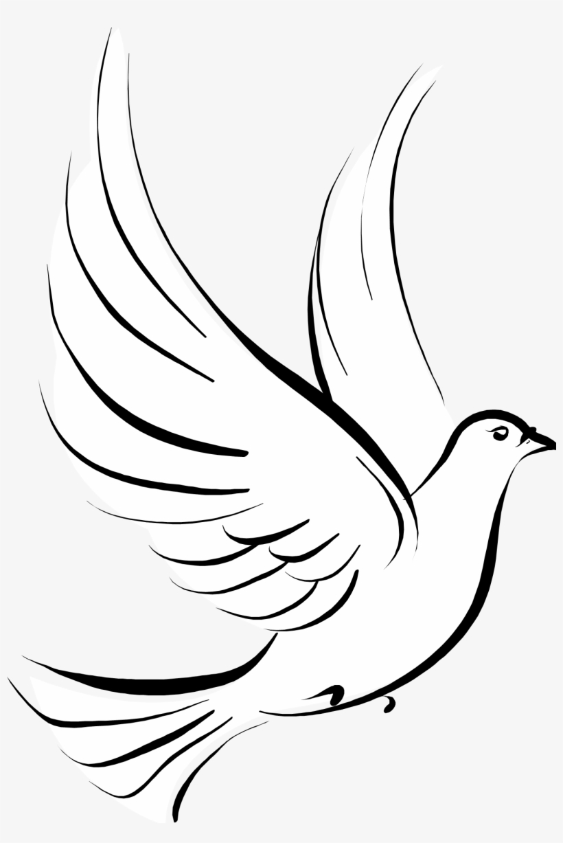 Pigeons And Doves, transparent png download