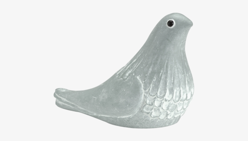 Mourning Dove Green - Bird, transparent png download