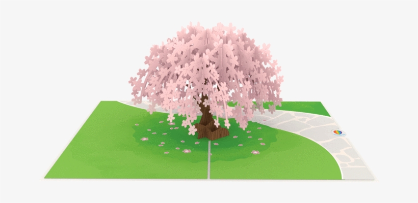 Cherry Blossom Pop Up Card - Lovepop Pop Up Card, transparent png download